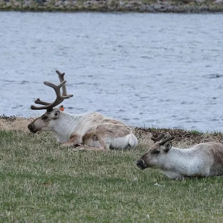 Destination Senja - Stonglandseidet