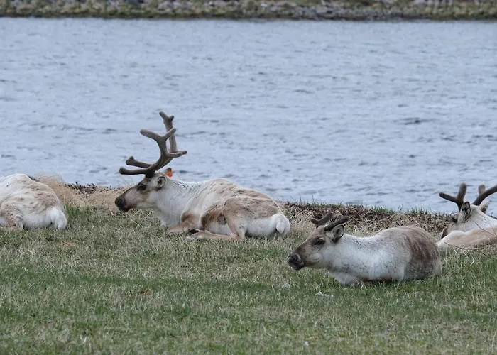 Destination Senja - Stonglandseidet